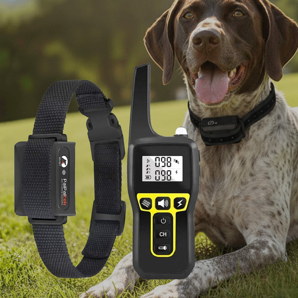 Rechargeable Dog Training Collar with Beep, Vibration & Static Modes - Image 12