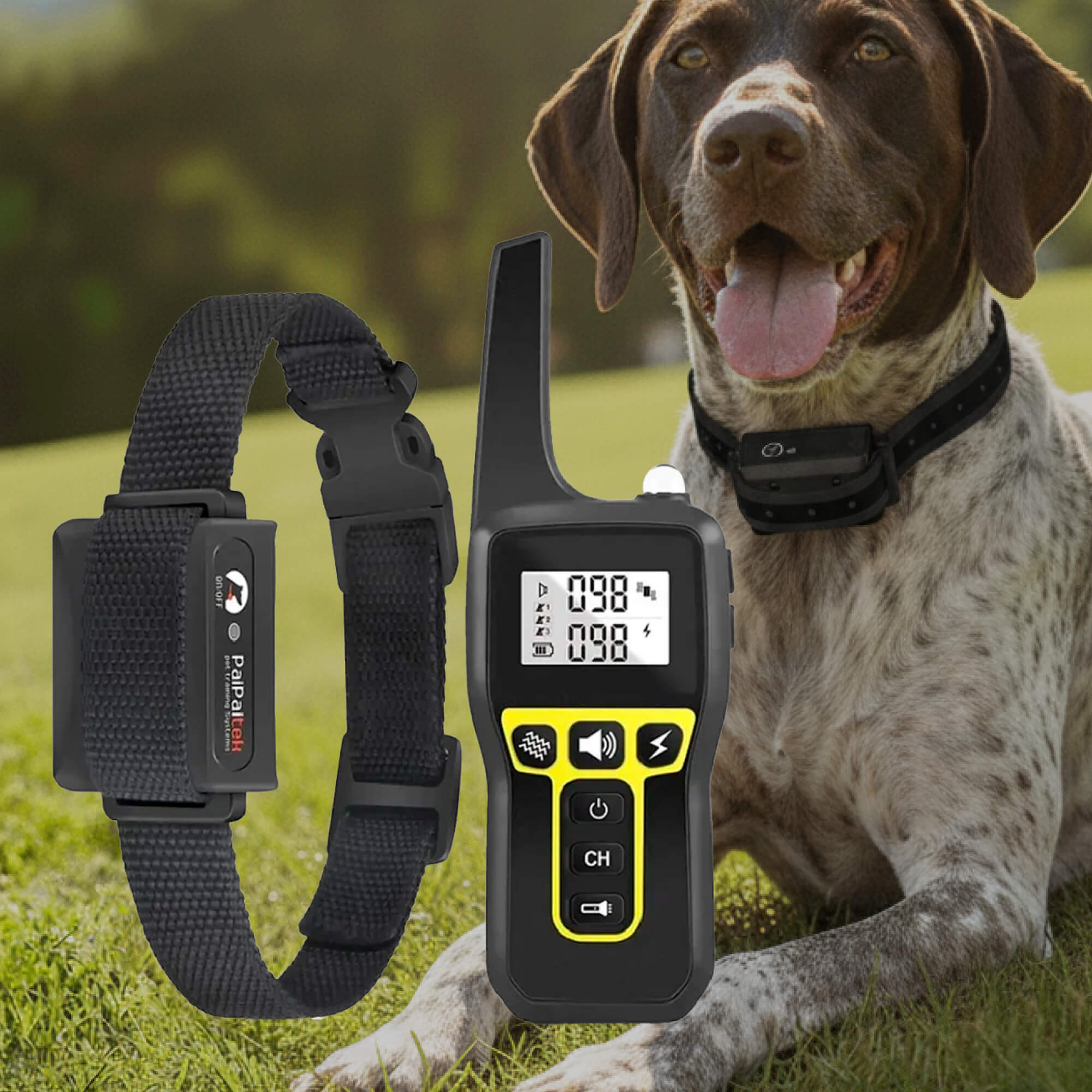 Rechargeable Dog Training Collar with Beep, Vibration & Static Modes - Image 12
