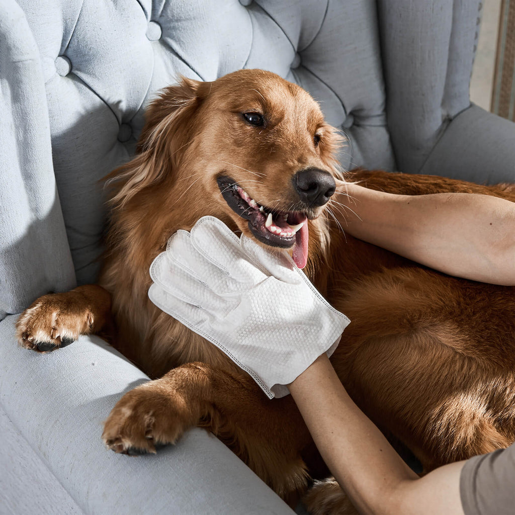 Gentle Pet Wipe Gloves for Daily Care
