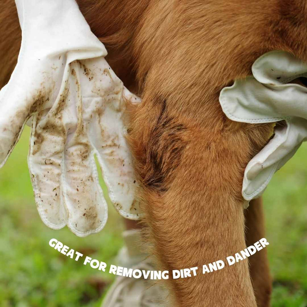 Gentle Pet Wipe Gloves for Daily Care - Image 2