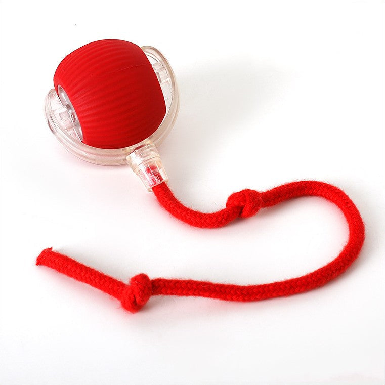 Smart Cat Toy with Tail Motion Indoor Fun - Image 10