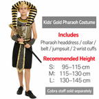Egyptian Polyester Pharaoh Costume
