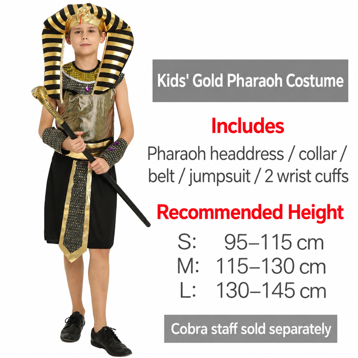 Egyptian Polyester Pharaoh Costume