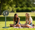 360° Rotating Pedestal Fan