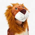 Adorable costume de lion en 3D pour enfants