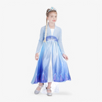 Enchanting Princess Costume with Accessories
