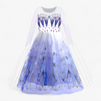Tenue de princesse de conte de fées avec accessoires