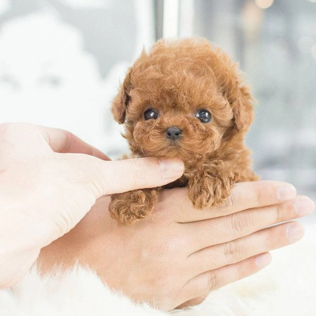 Robotic Puppy Toy Lifelike Interactive Pet With Realistic Movements - Image 4