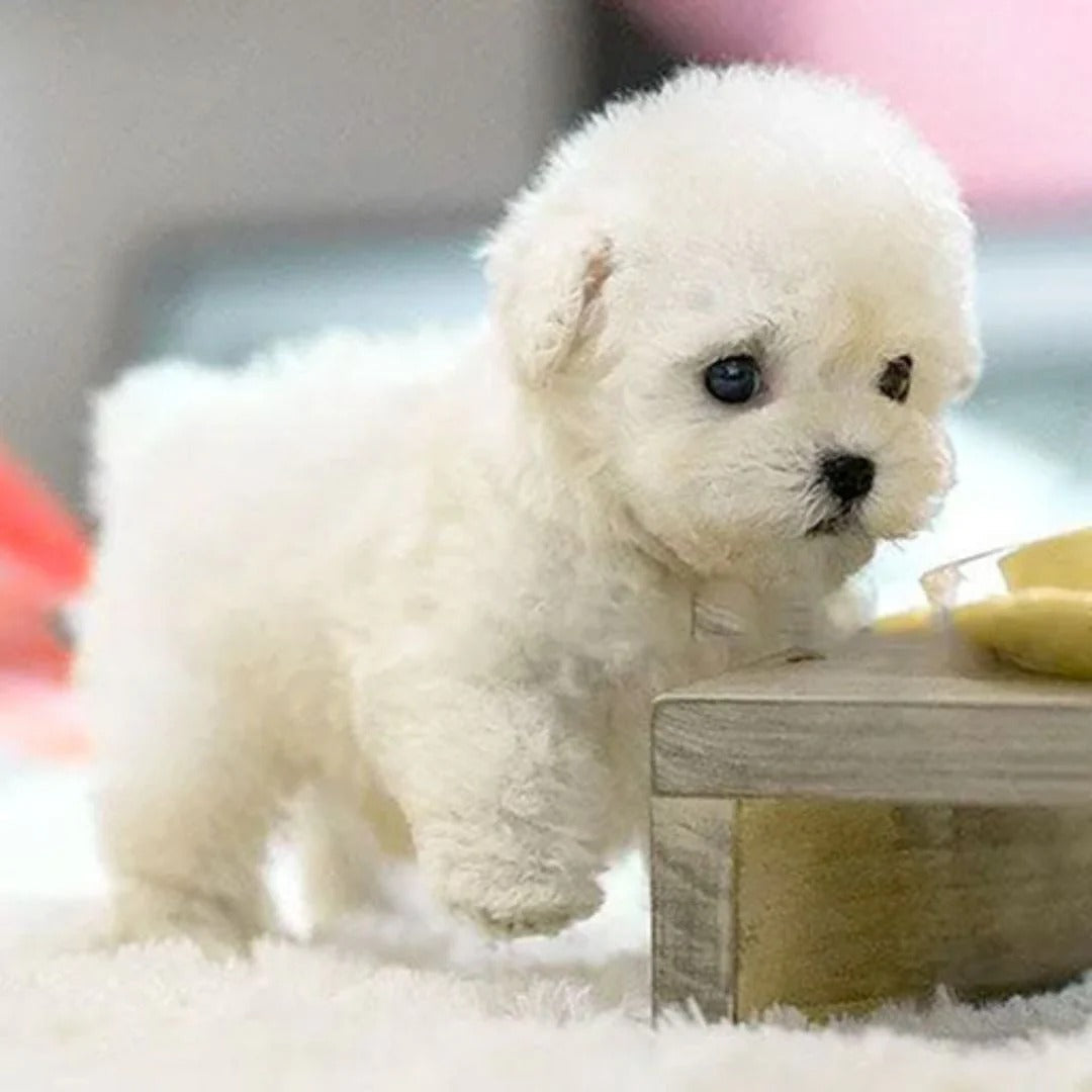 Robotic Puppy Toy Lifelike Interactive Pet With Realistic Movements - Image 2