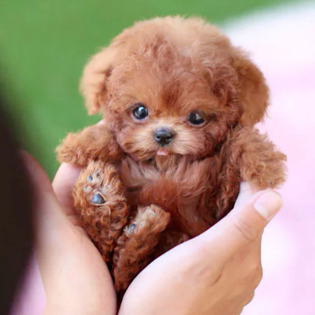 Robotic Puppy Toy Lifelike Interactive Pet With Realistic Movements - Image 3