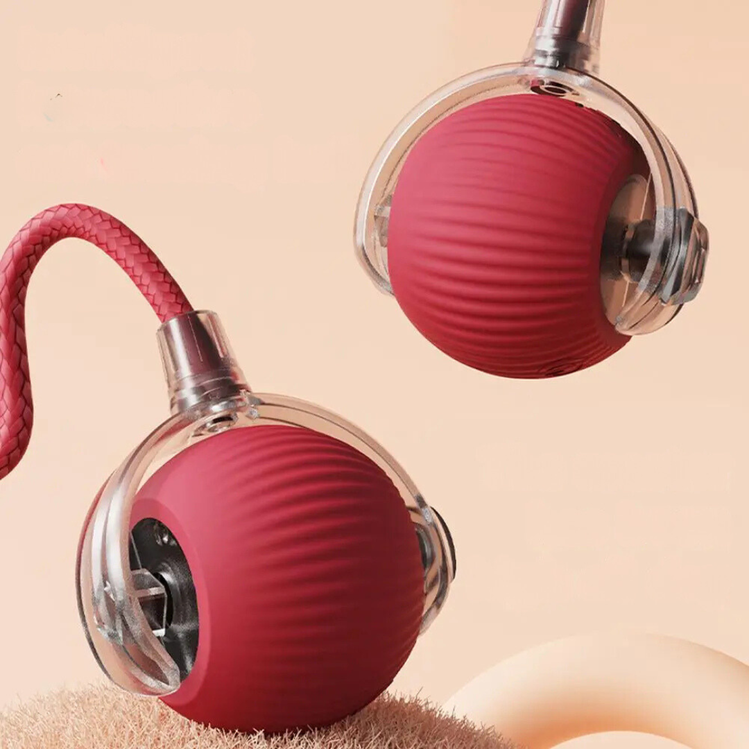 Smart Cat Toy with Tail Motion Indoor Fun - Image 6