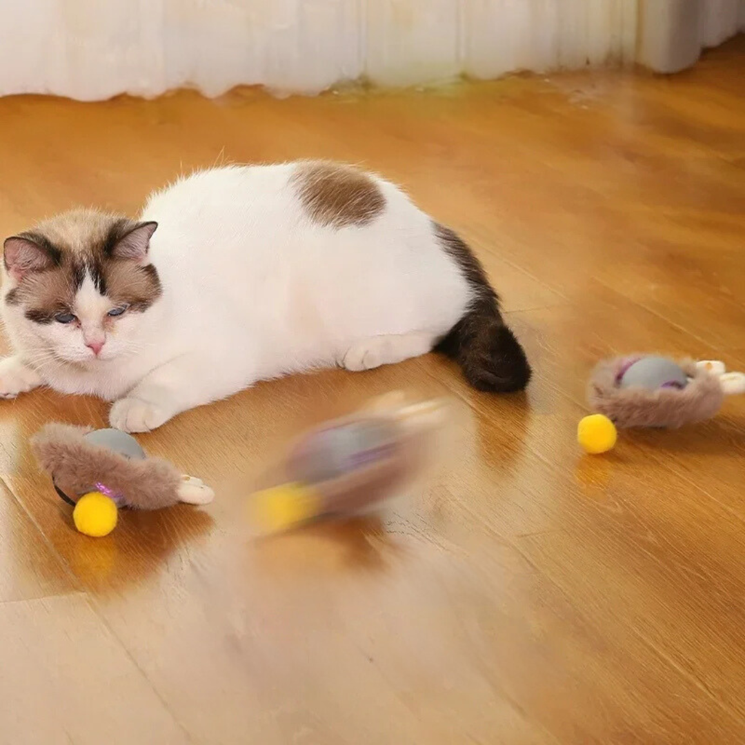 Smart Cat Toy with Tail Motion Indoor Fun - Image 5