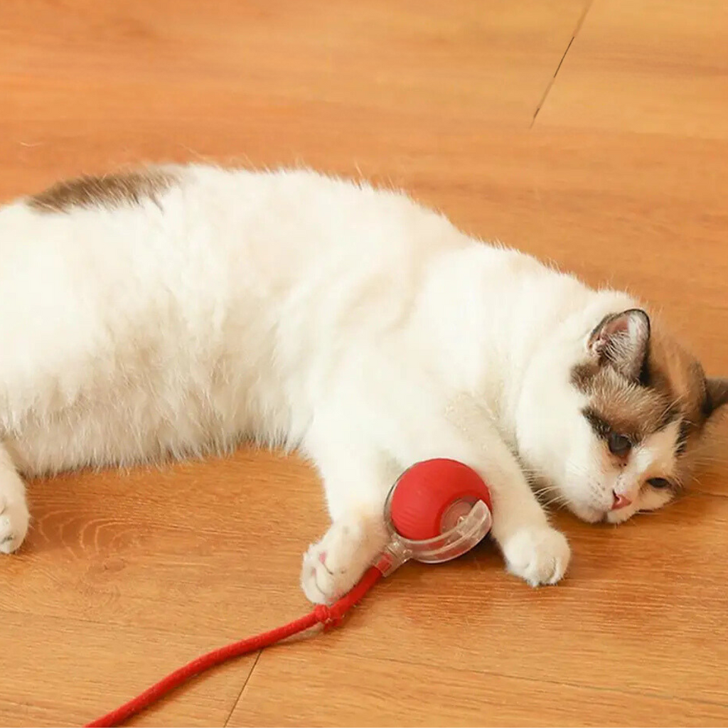 Smart Cat Toy with Tail Motion Indoor Fun - Image 3