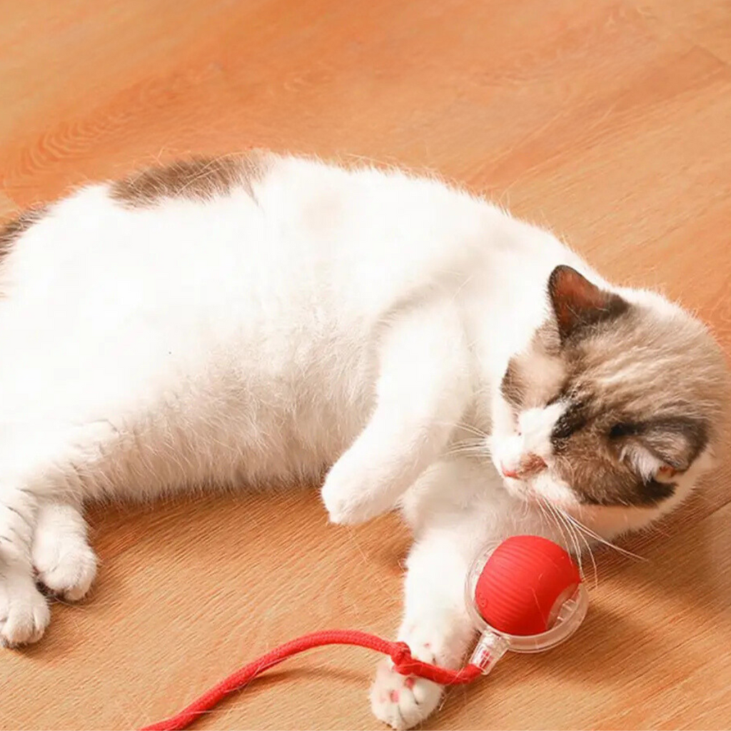 Smart Cat Toy with Tail Motion Indoor Fun - Image 2