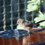 Floating Solar Fountain Pump Multiple Spray Nozzles - Image 3