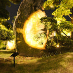 Adjustable Solar Landscape Spotlight Waterproof Dusk to Dawn Garden Light